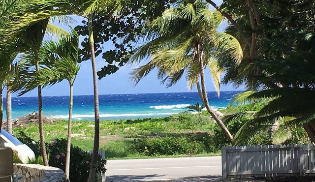 Caymanian Style Home w/Pool, Pickle Ball Court, Optional Private Bar