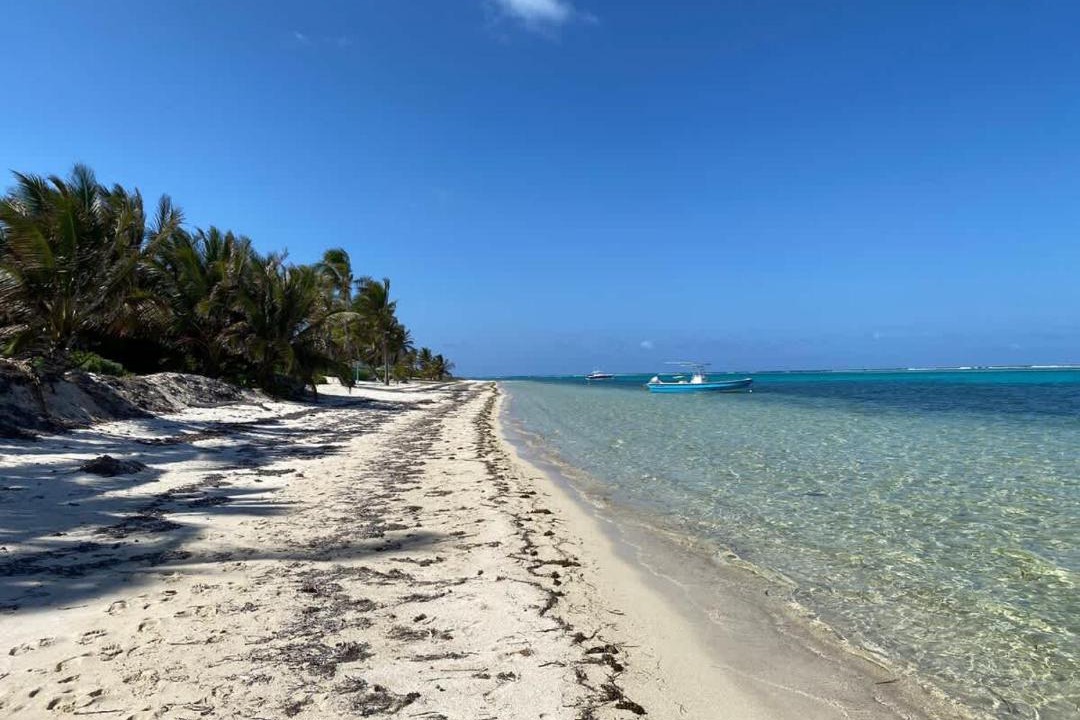Colliers Bay House | The Sea Spray at Cottages