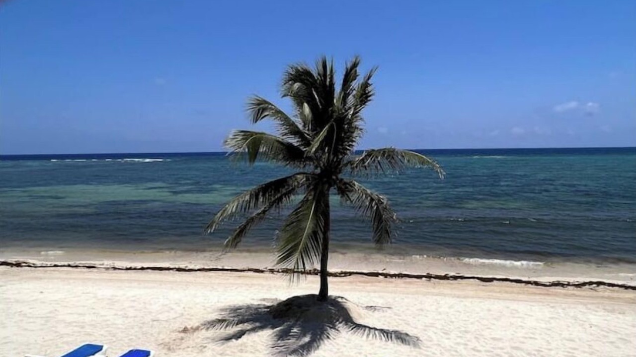 Photo of Others in Colliers Bay