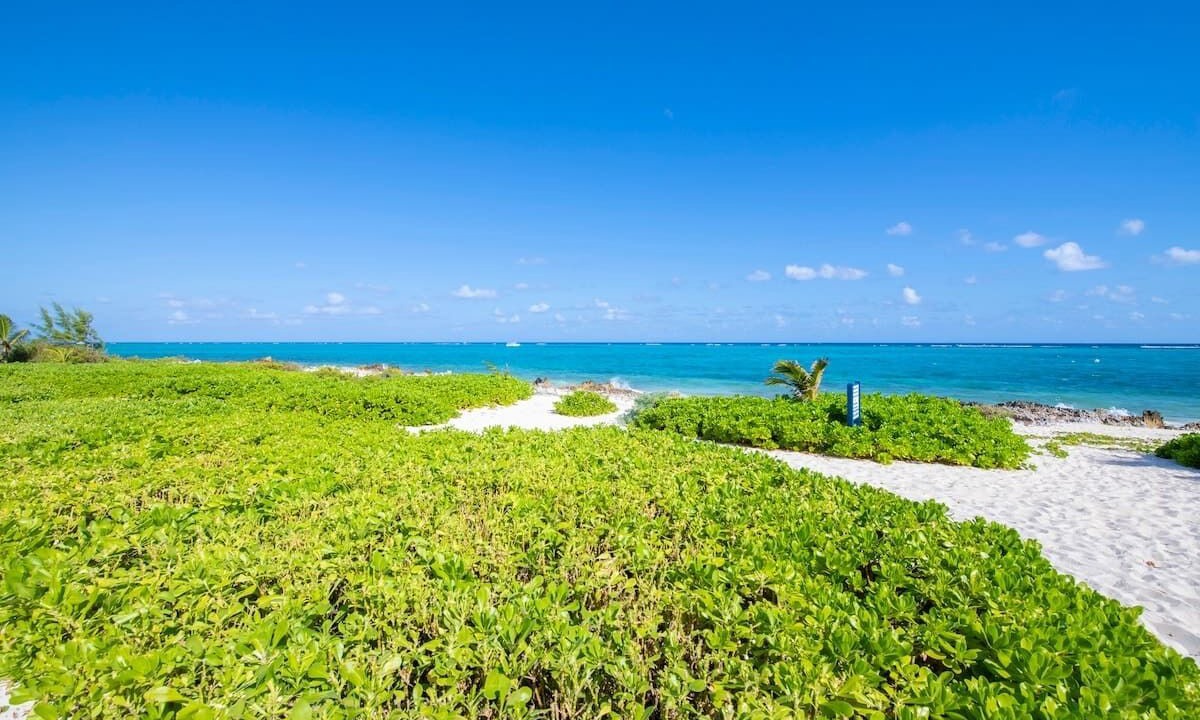 Photo of Others in Rum Point