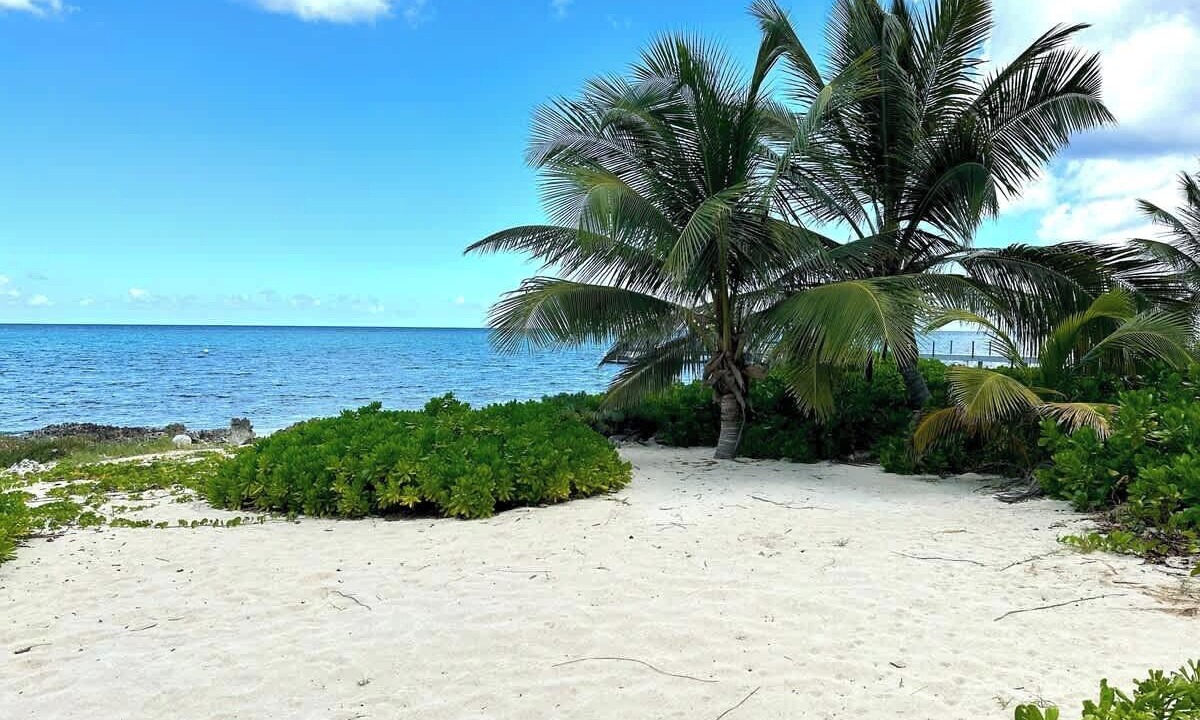 Photo of Others in Rum Point