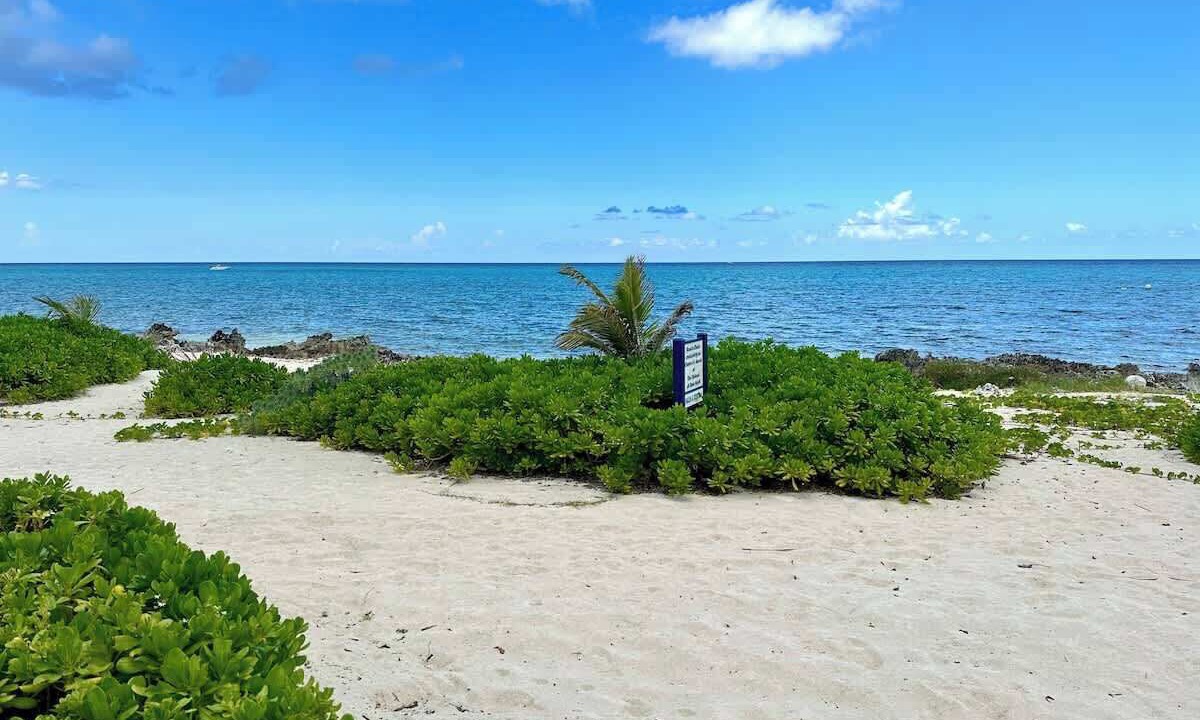 Photo of Others in Rum Point