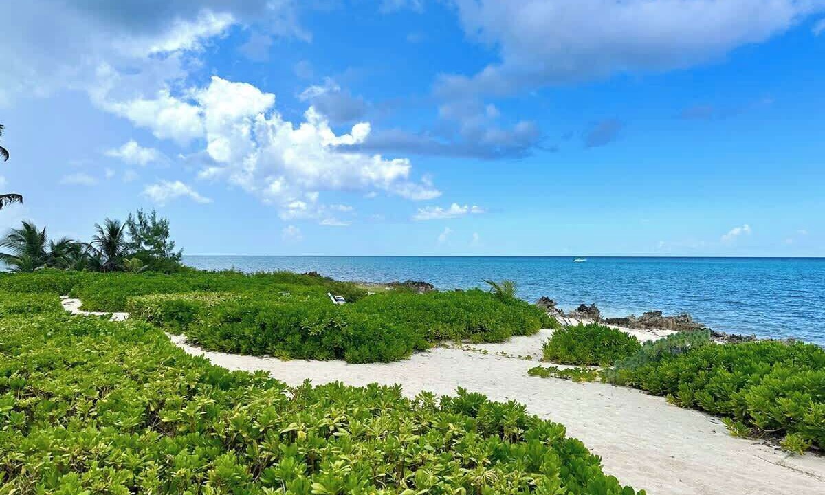 Photo of Others in Rum Point
