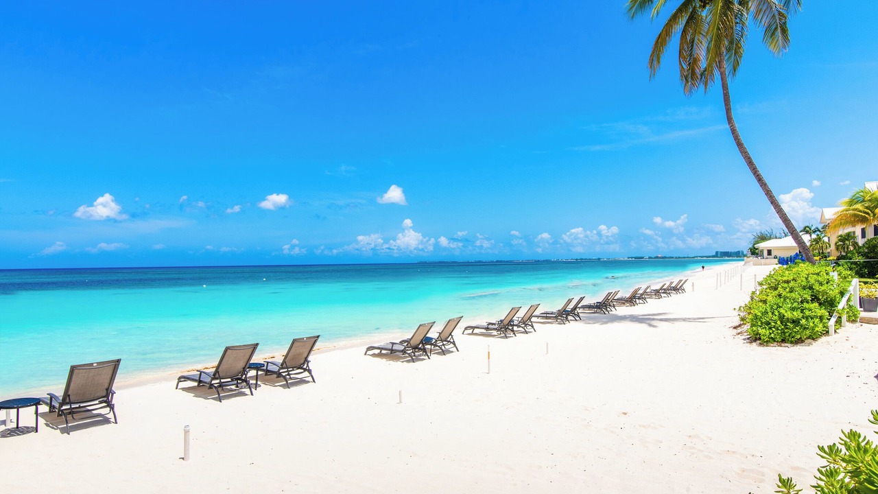 Photo of Others in Seven Mile Beach