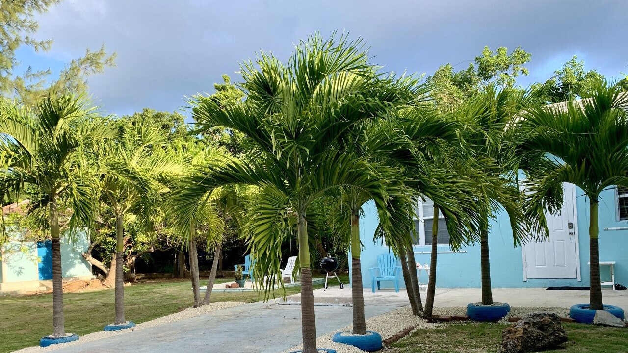 Photo of Outdoor in West Bay