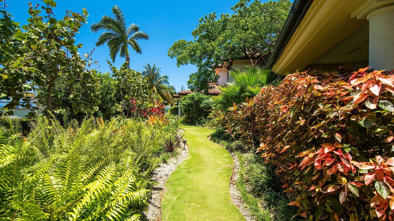 Photo of Outdoor in George Town