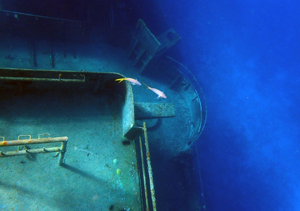 Photo of Outdoor in West Bay