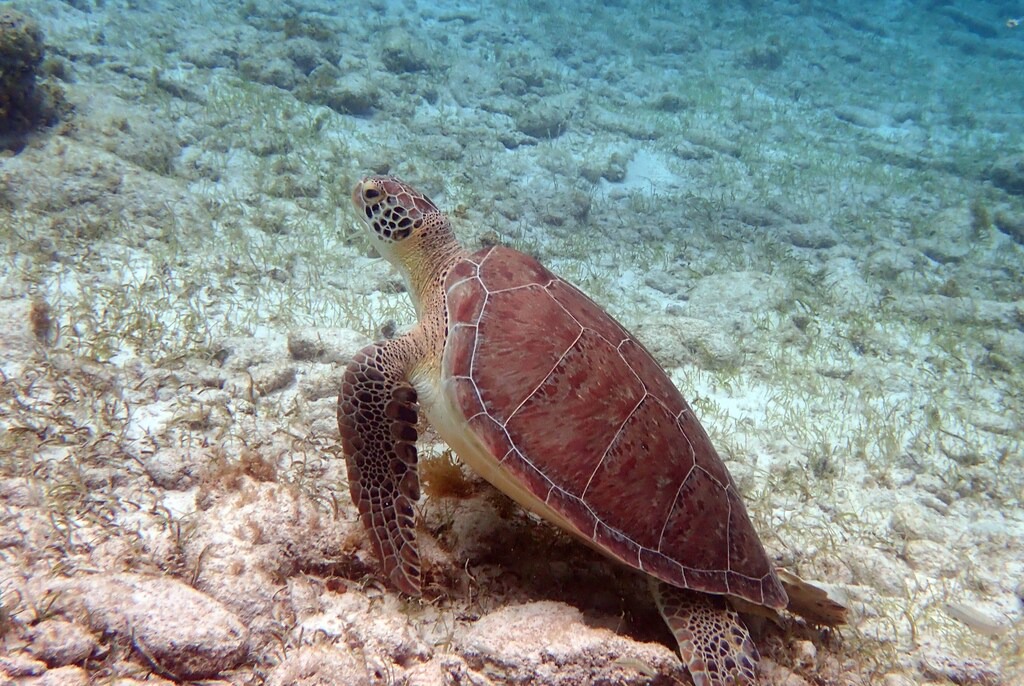 Photo of Outdoor in West Bay