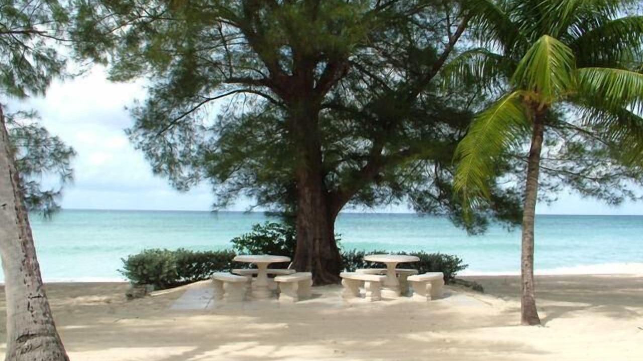 Photo of Others in Seven Mile Beach