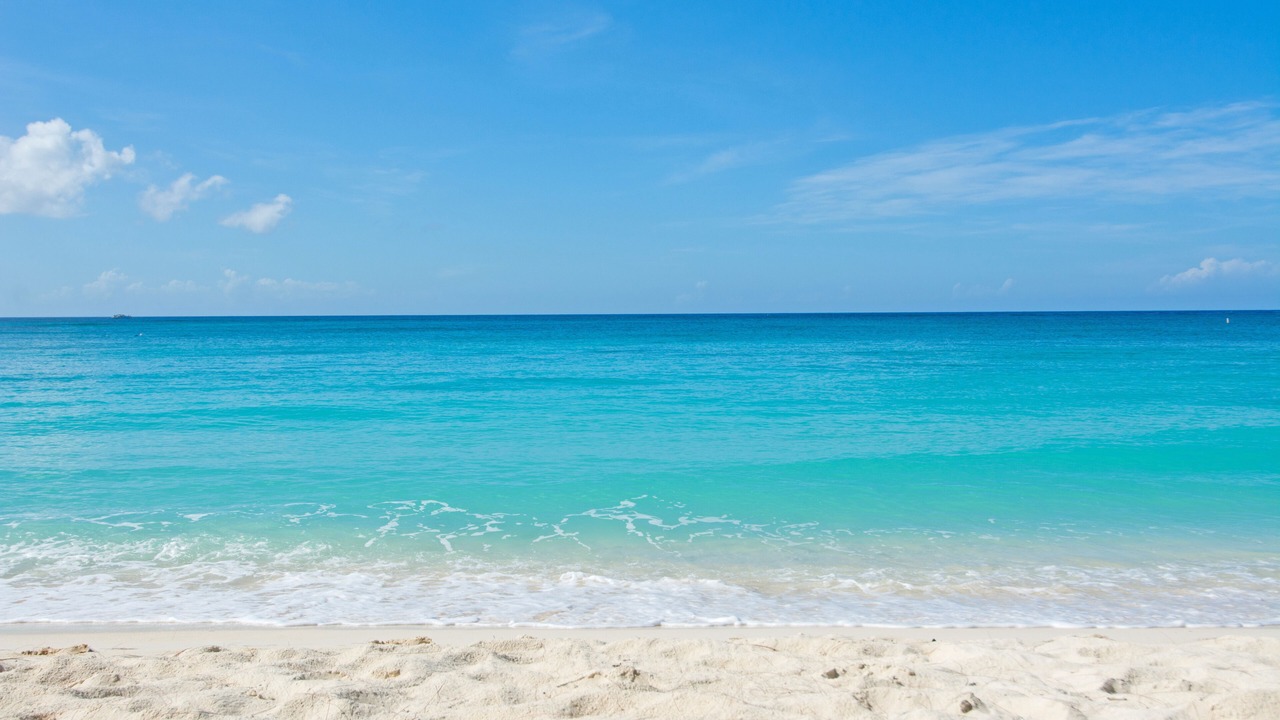 Photo of Others in Seven Mile Beach