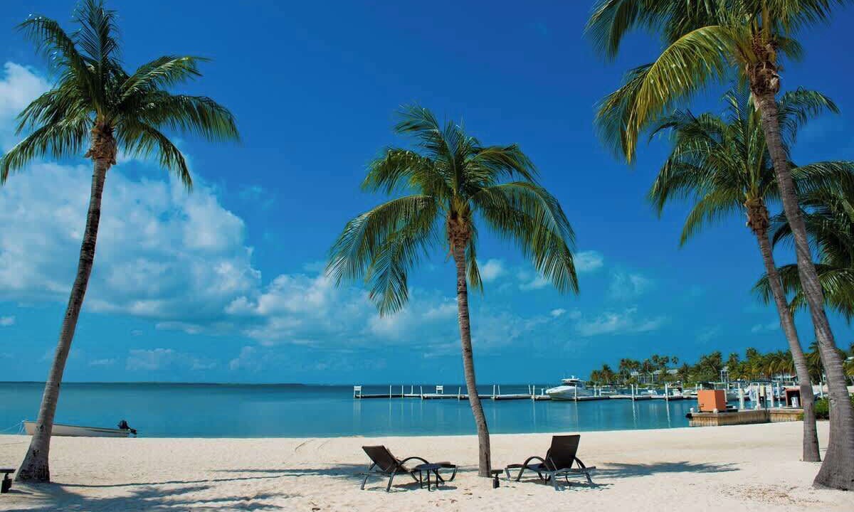 Photo of Others in Rum Point
