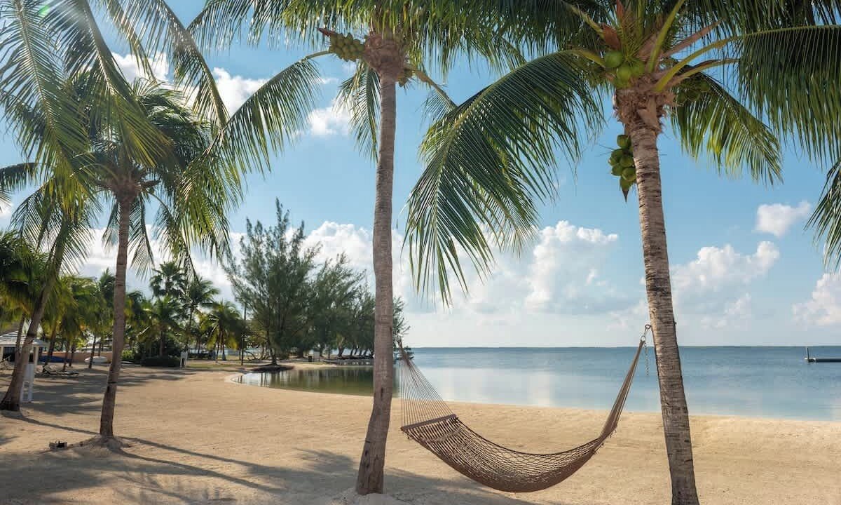 Photo of Others in Rum Point
