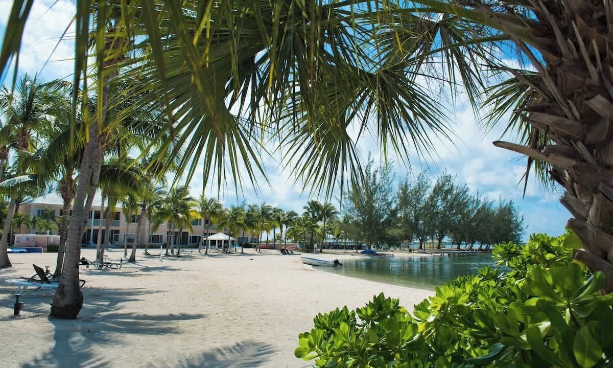 Photo of Others in Rum Point