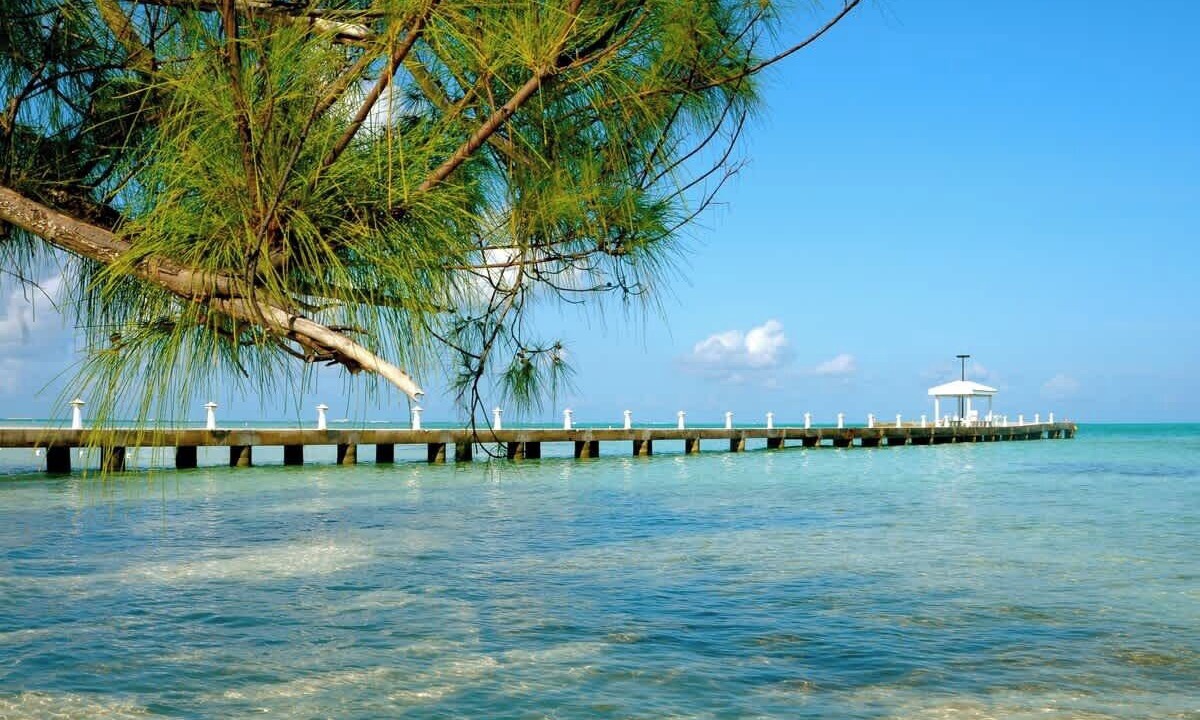 Photo of Others in Rum Point