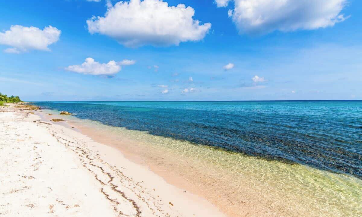 Photo of Others in Rum Point