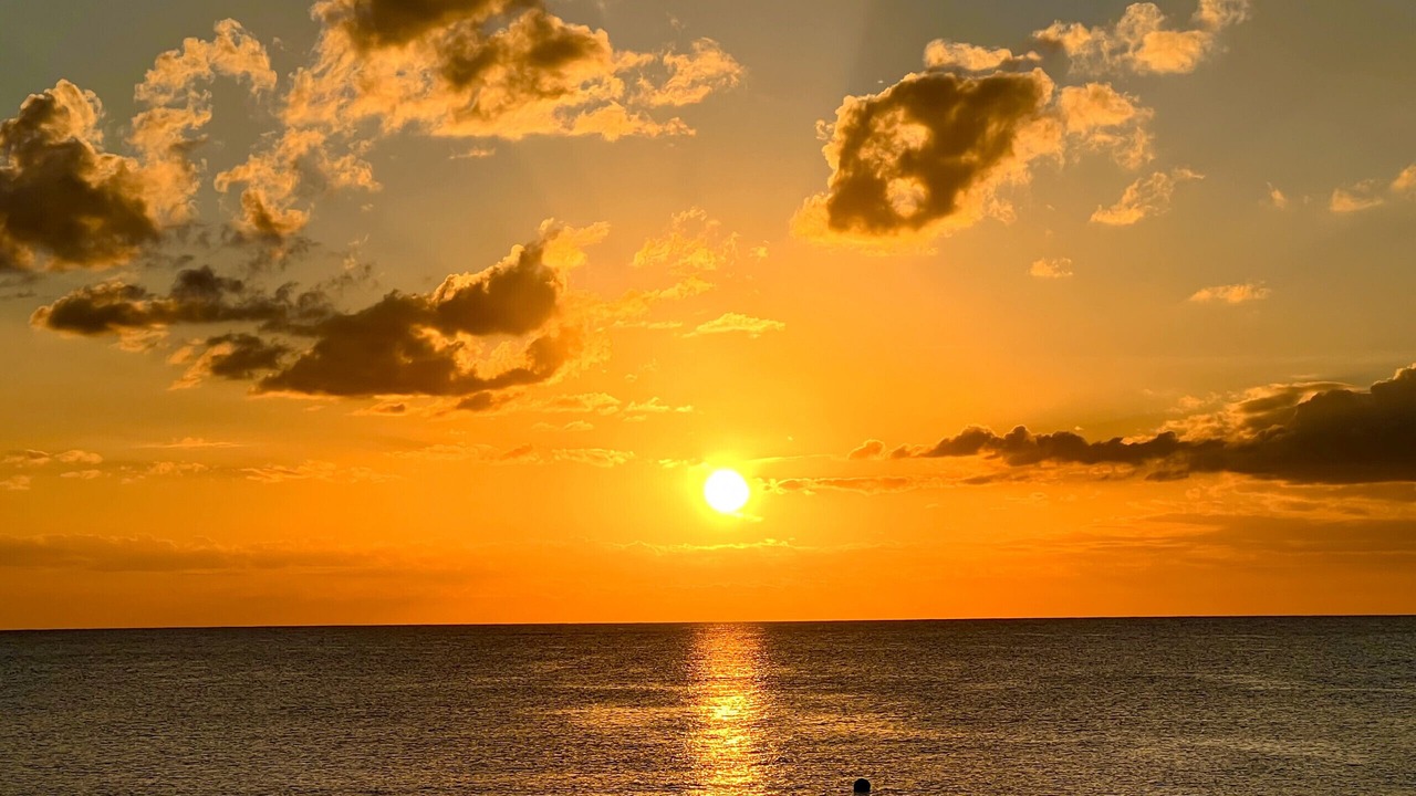 Photo of Others in Seven Mile Beach