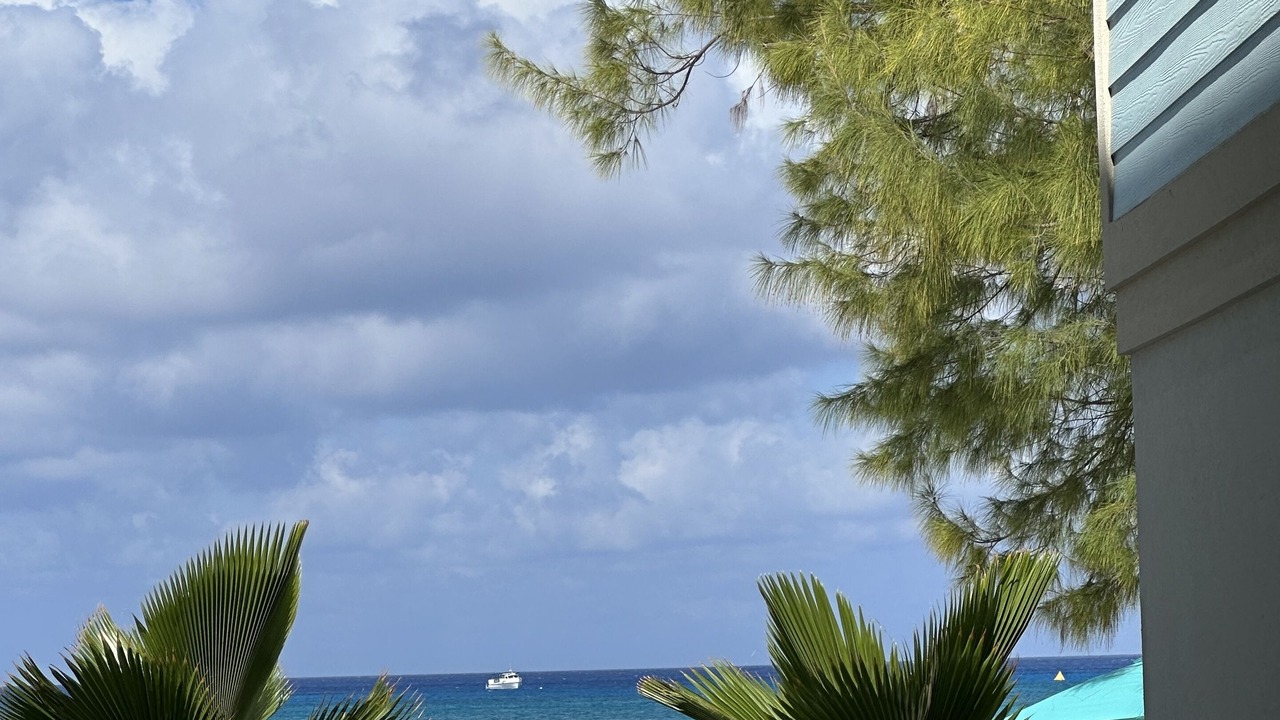 Photo of Others in Seven Mile Beach