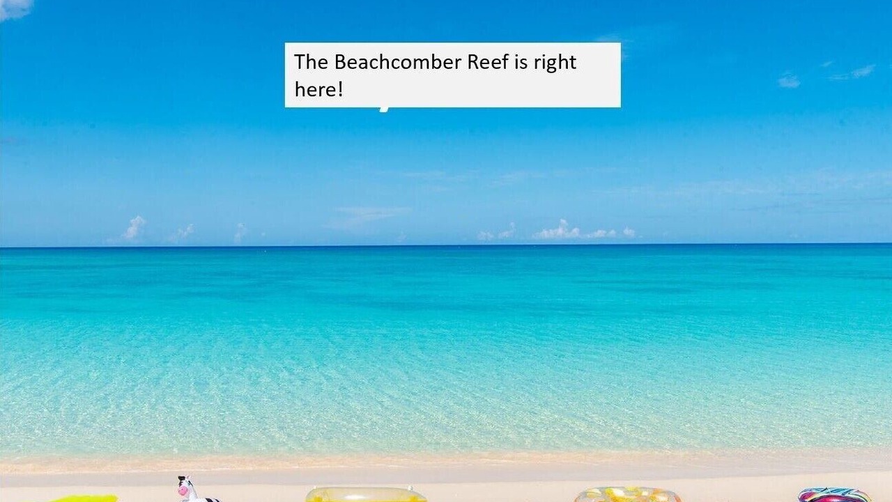 Photo of Others in Seven Mile Beach
