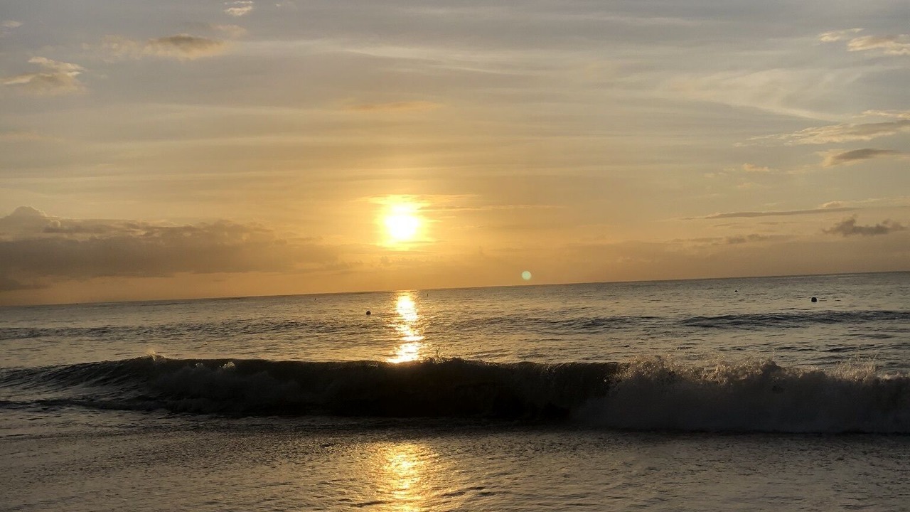 Photo of Others in Seven Mile Beach
