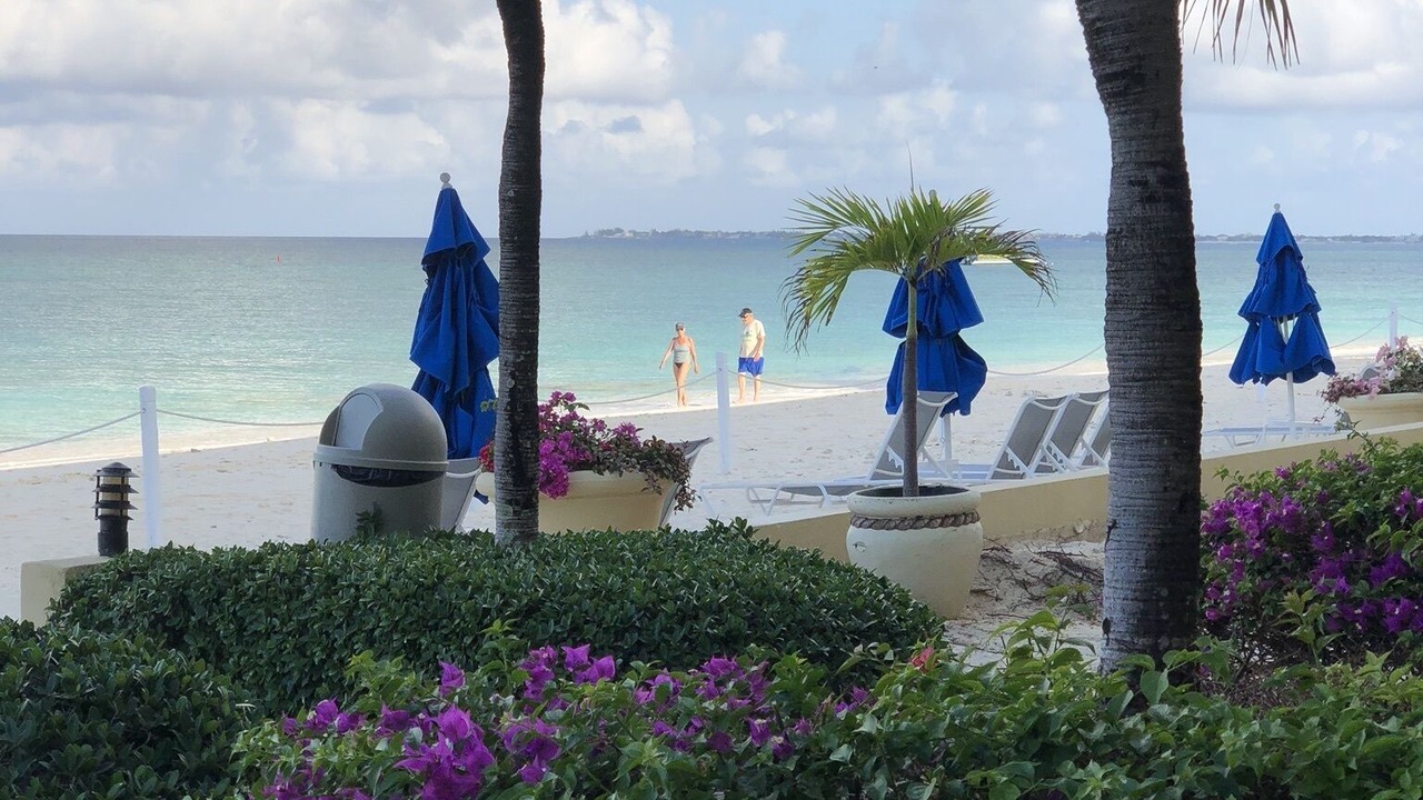Photo of Others in Seven Mile Beach