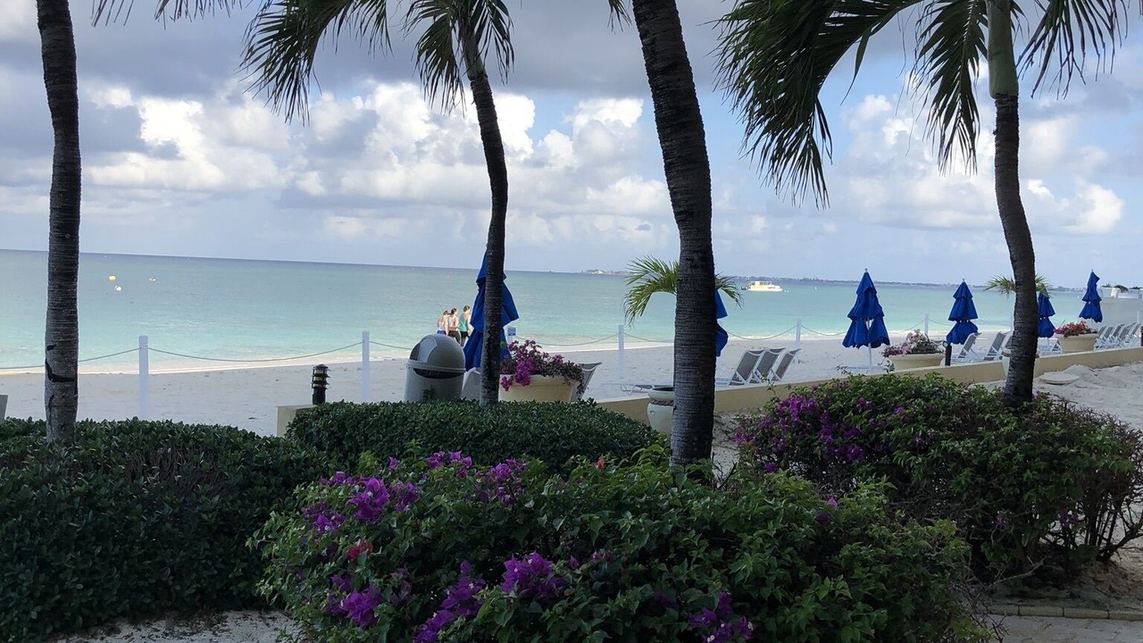 Photo of Others in Seven Mile Beach