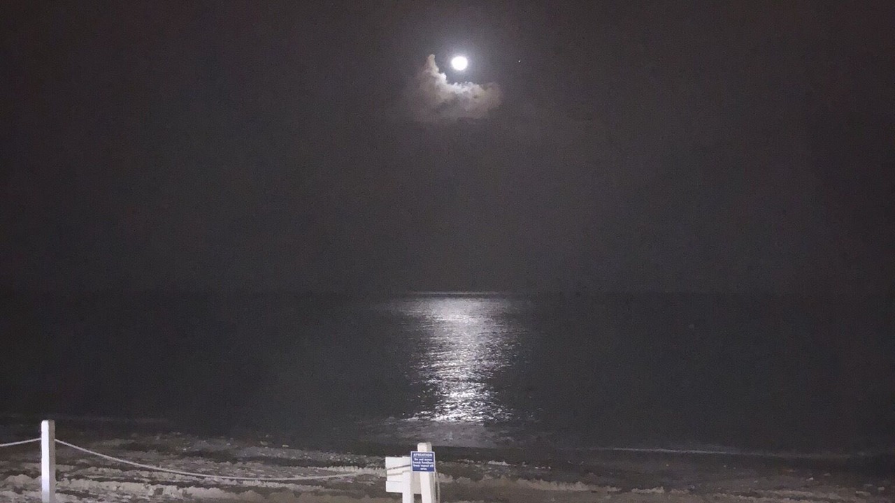 Photo of Others in Seven Mile Beach