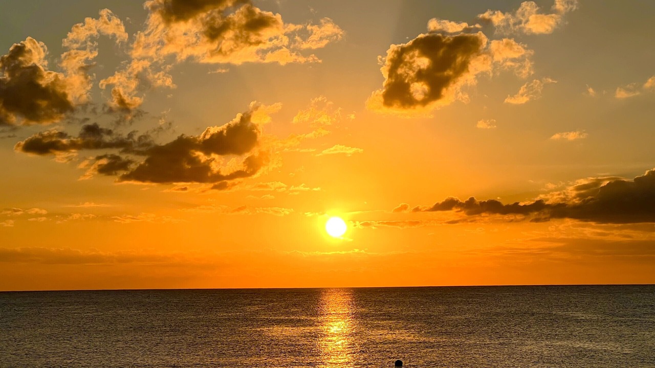 Photo of Others in Seven Mile Beach