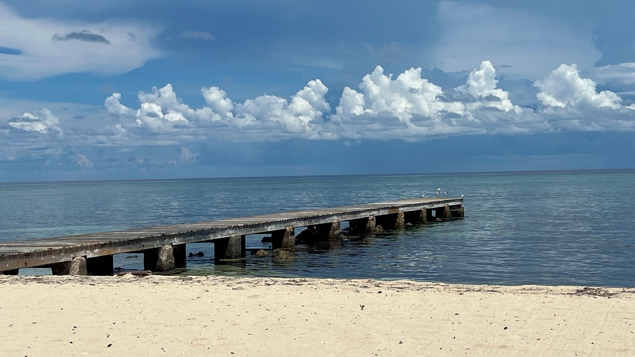 Photo of Others in West Bay