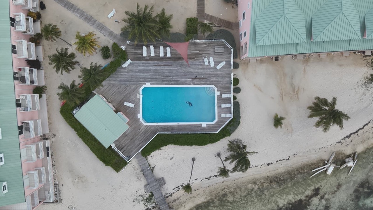 Photo of Outdoor in West End