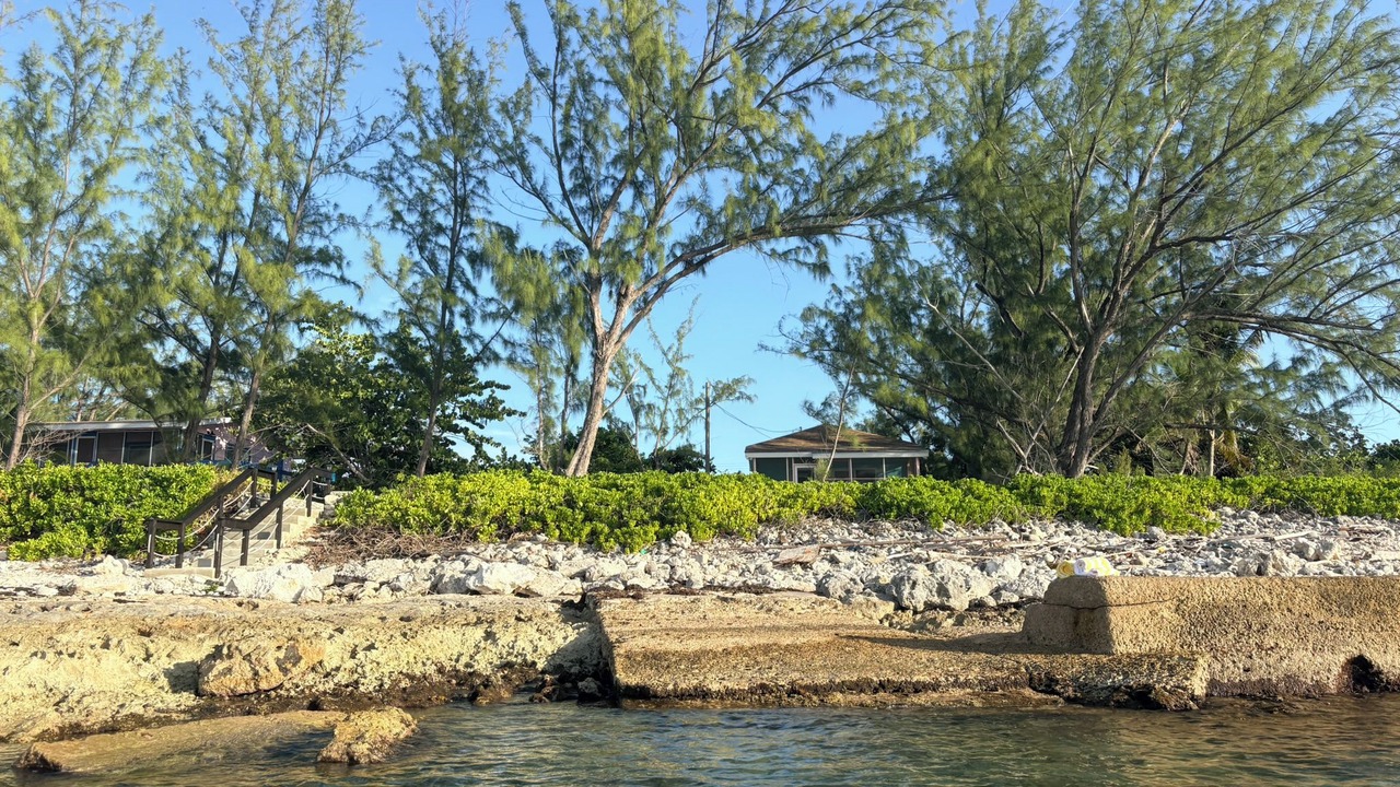 Photo of Others in Cotton Tree Bay