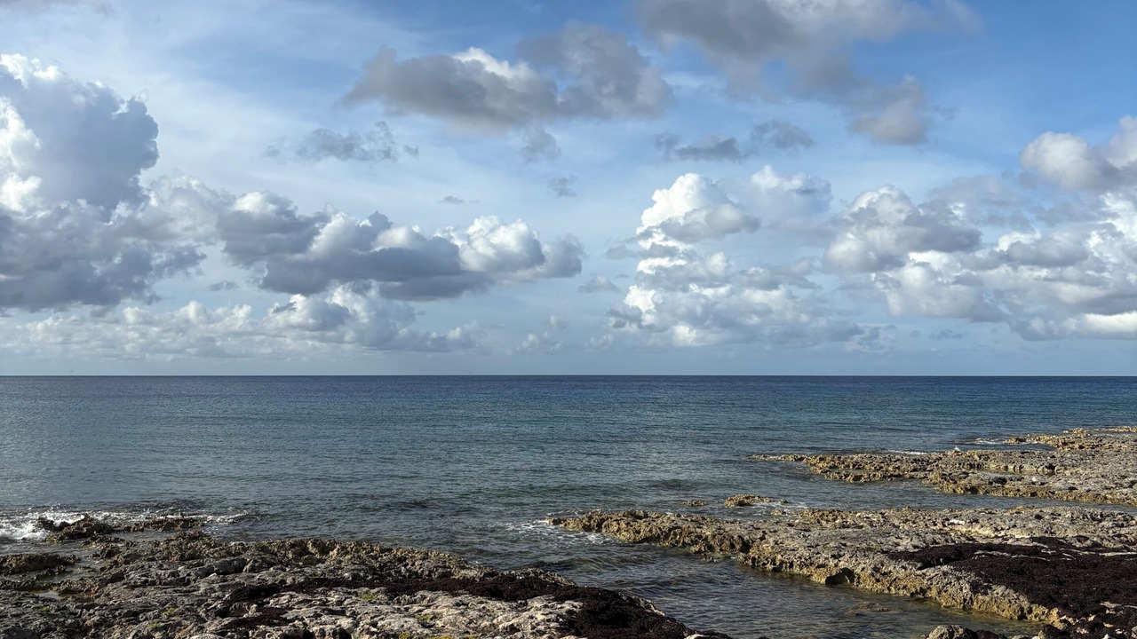 Photo of Others in Cotton Tree Bay