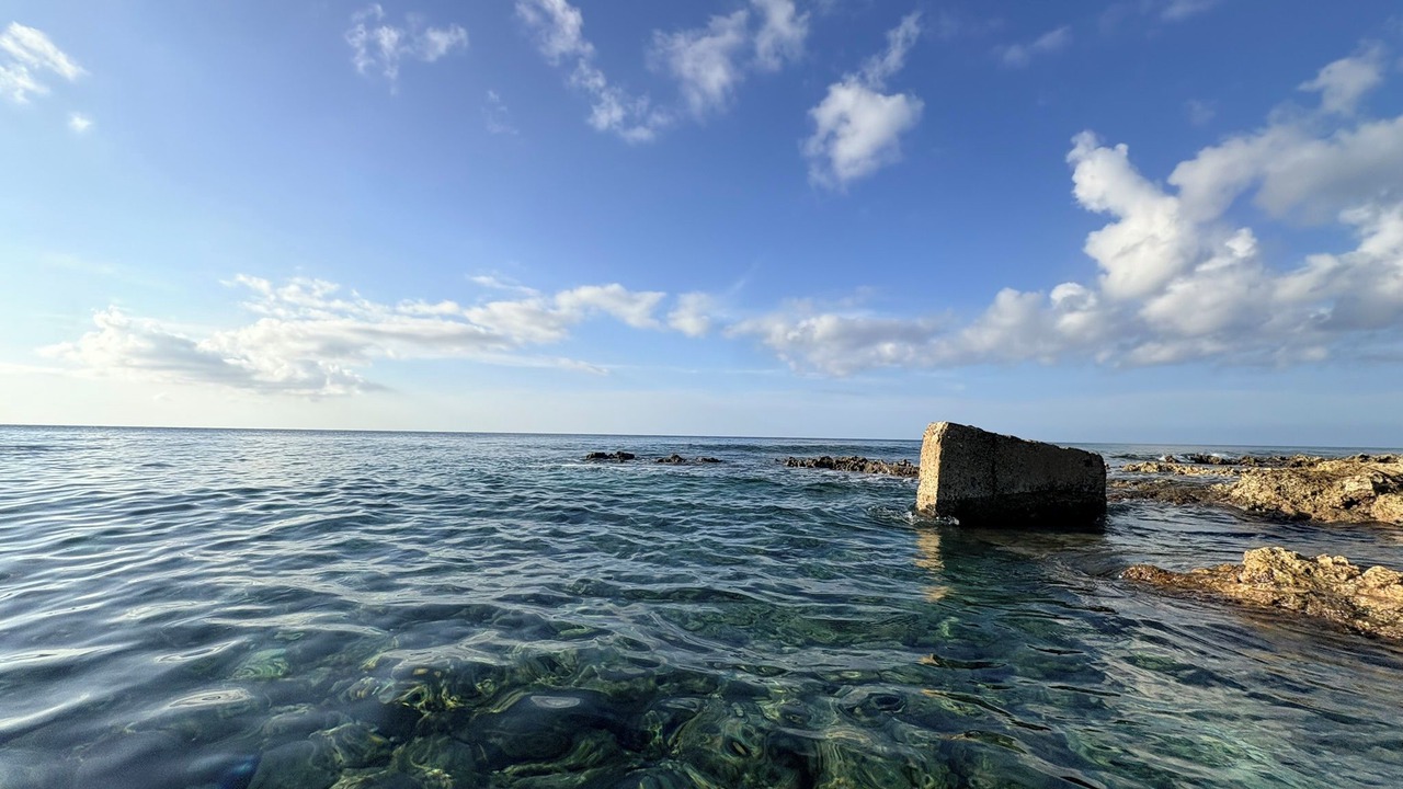 Photo of Others in Cotton Tree Bay