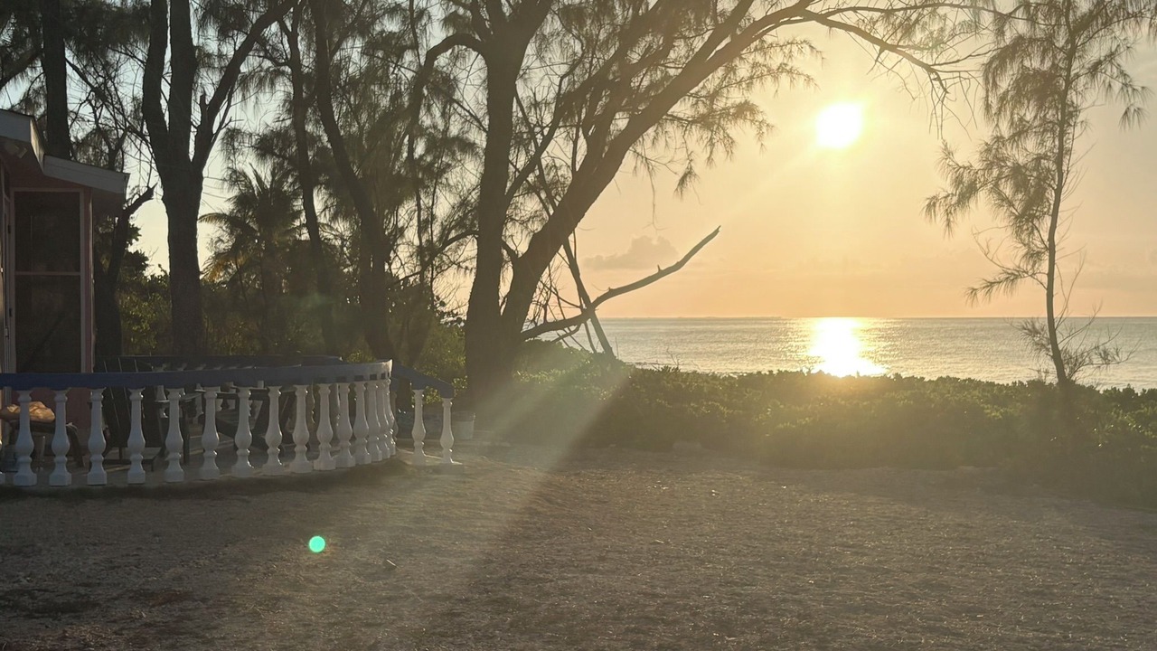 Photo of Others in Cotton Tree Bay