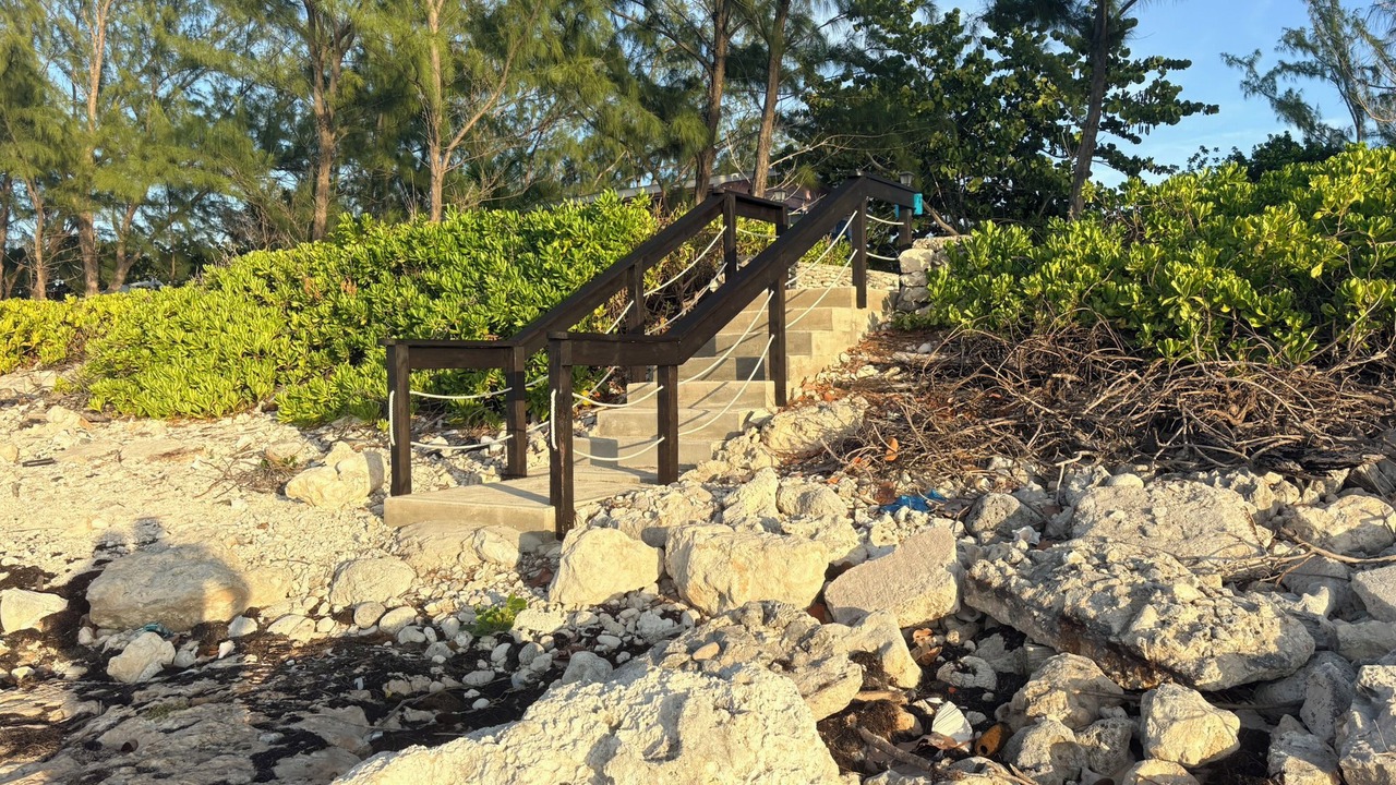 Photo of Outdoor in Cotton Tree Bay