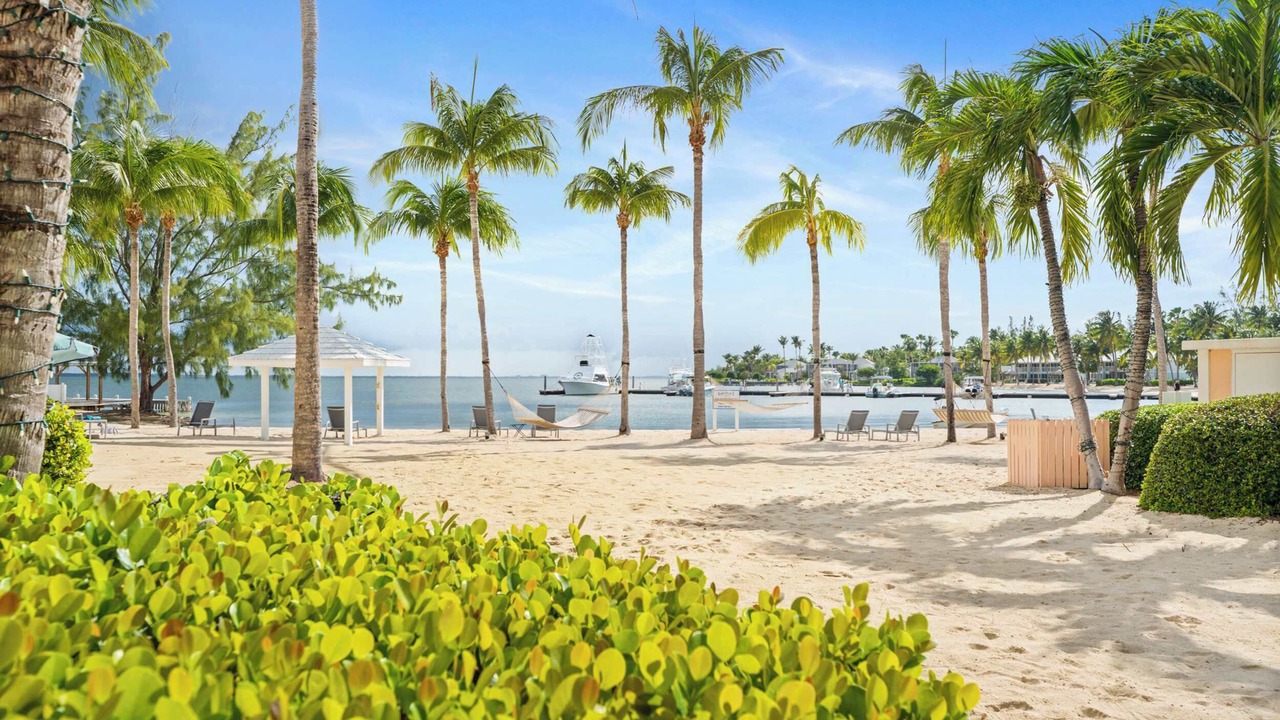 Photo of Others in Rum Point
