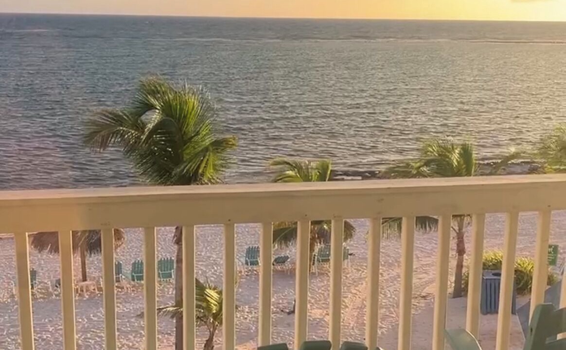 Photo of Outdoor in Colliers Bay