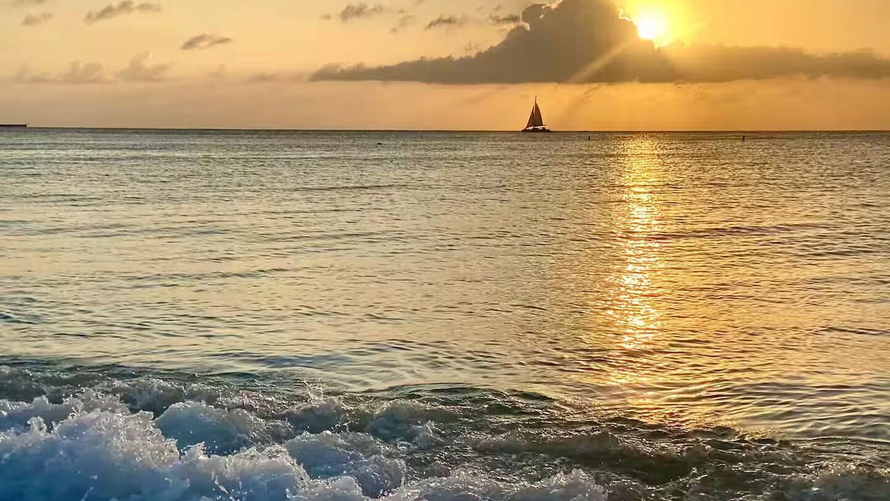 Photo of Others in Seven Mile Beach