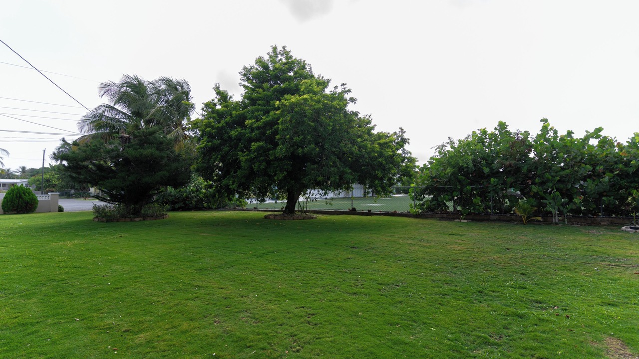 Photo of Outdoor in Northwest Point