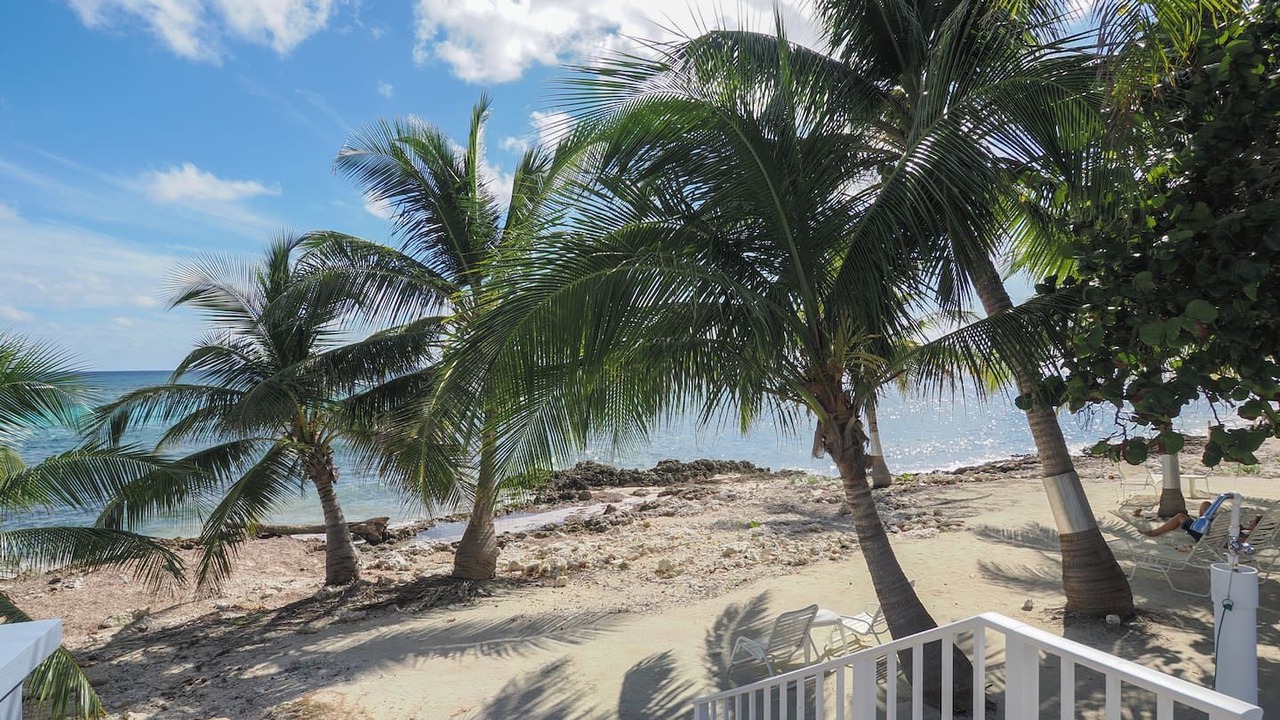 Photo of Others in Bodden Town
