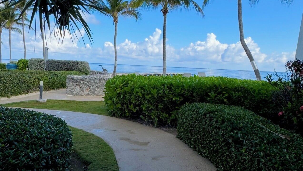 Photo of Outdoor in West Bay