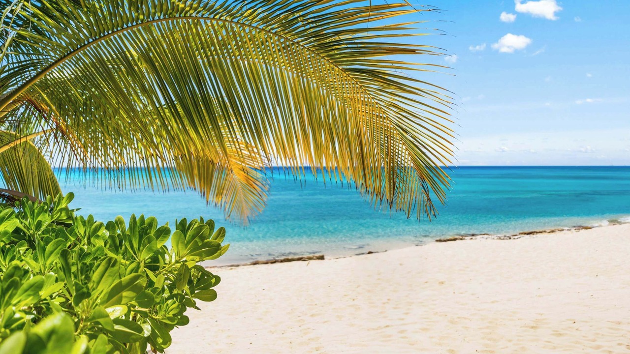 Photo of Others in Seven Mile Beach
