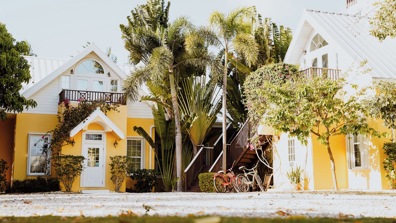 Photo of Outdoor in West Bay