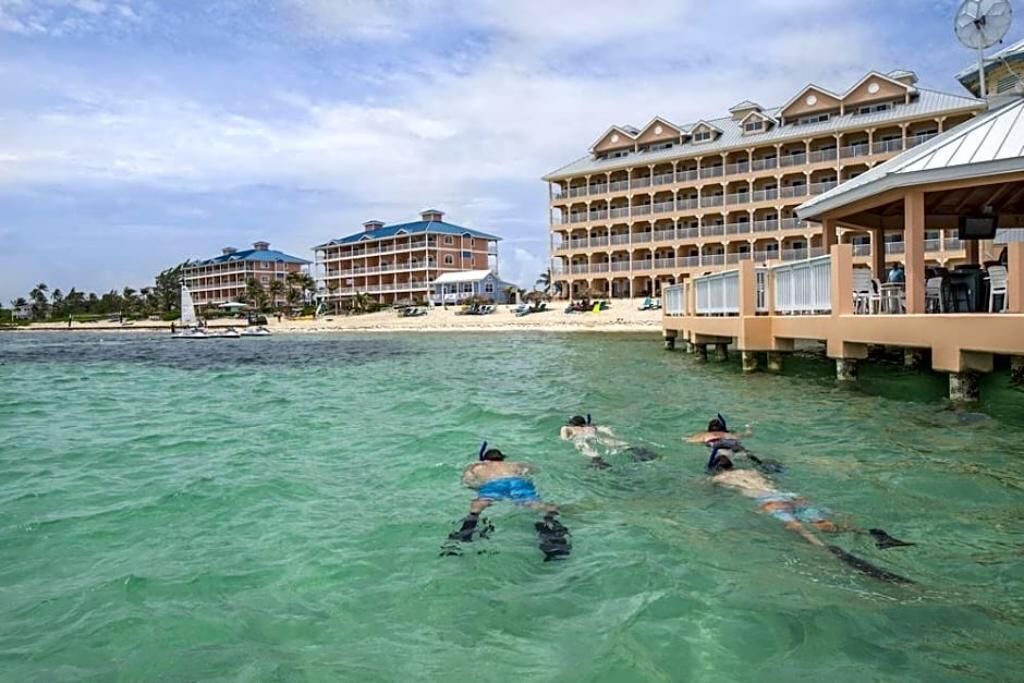Photo of Others in Colliers Bay