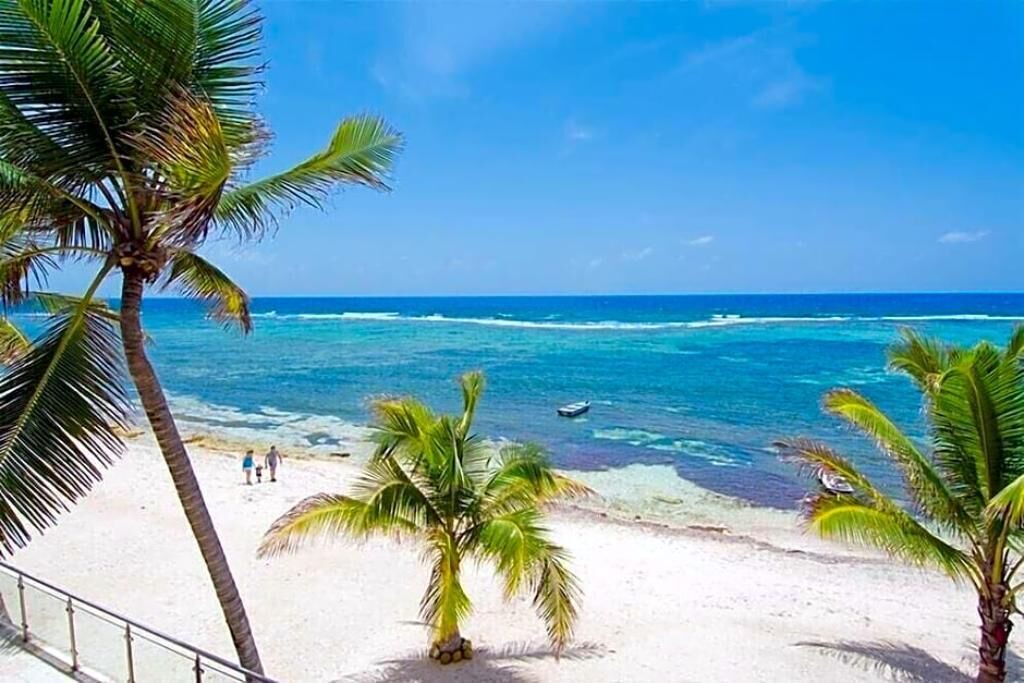 Photo of Others in Colliers Bay