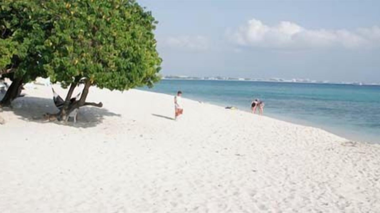Photo of Others in West Bay