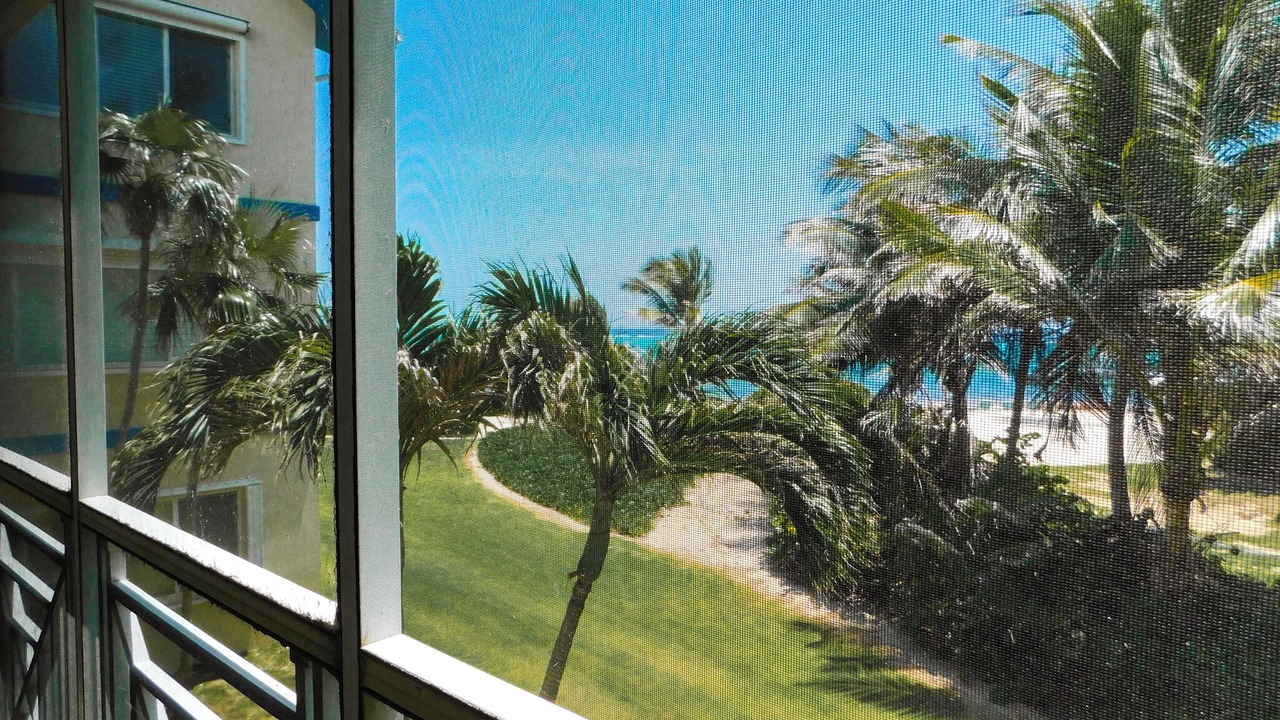 Photo of Outdoor in North Side