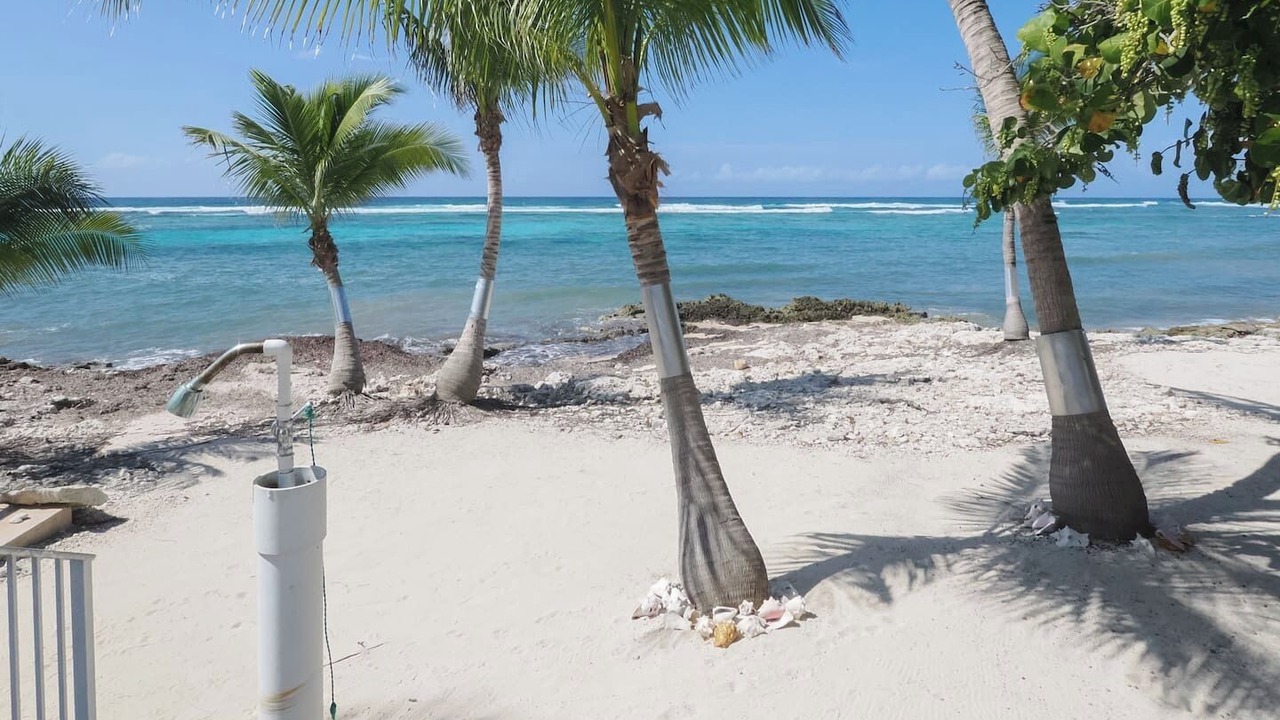 Photo of Others in Bodden Town