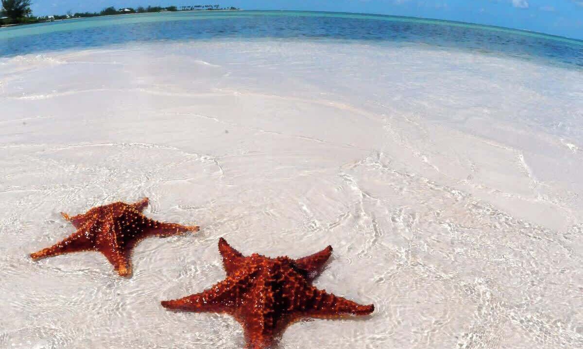 Photo of Others in Rum Point