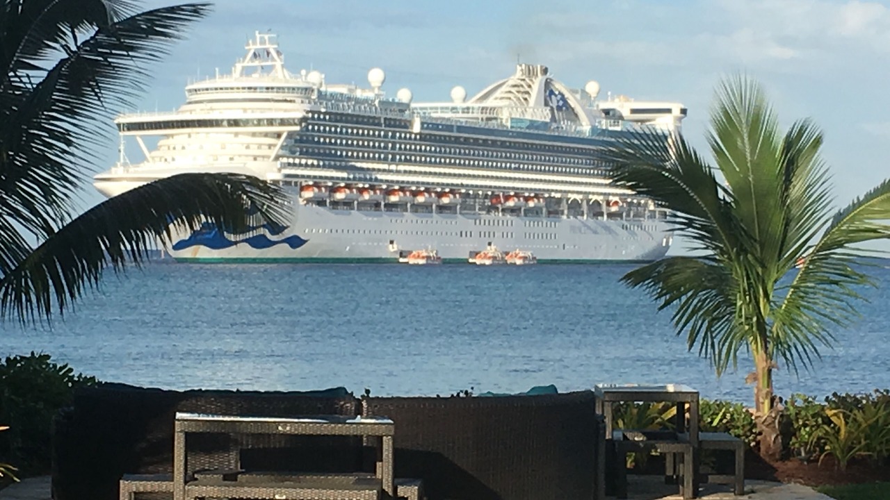 Photo of Others in Seven Mile Beach