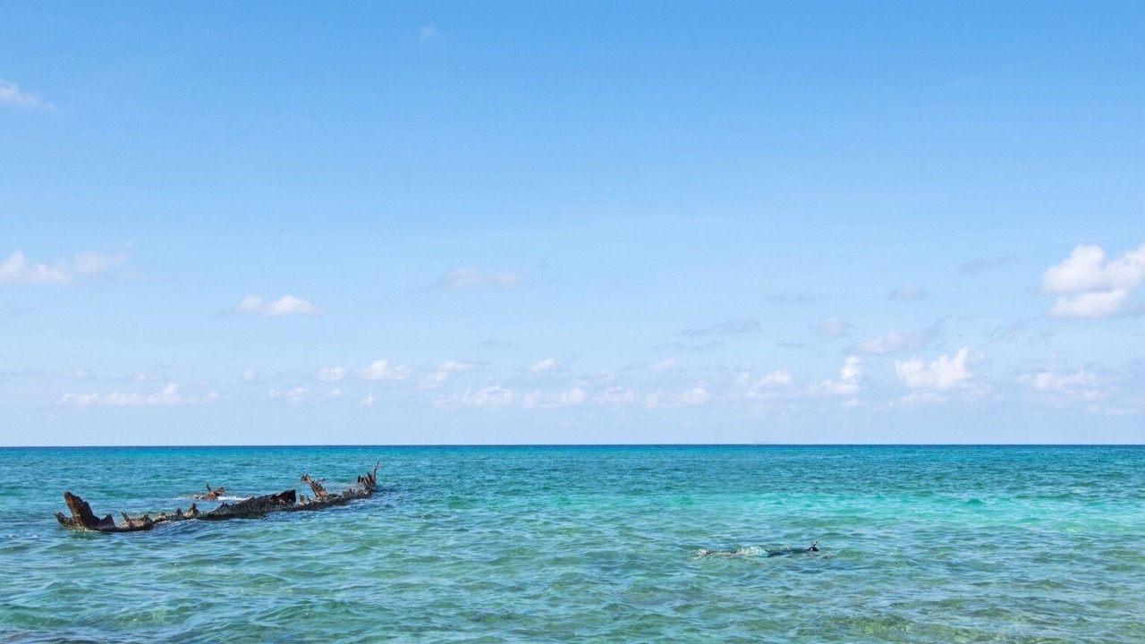Photo of Others in Seven Mile Beach
